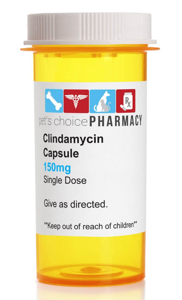 Rx Clindamycin 150mg x 1 capsule