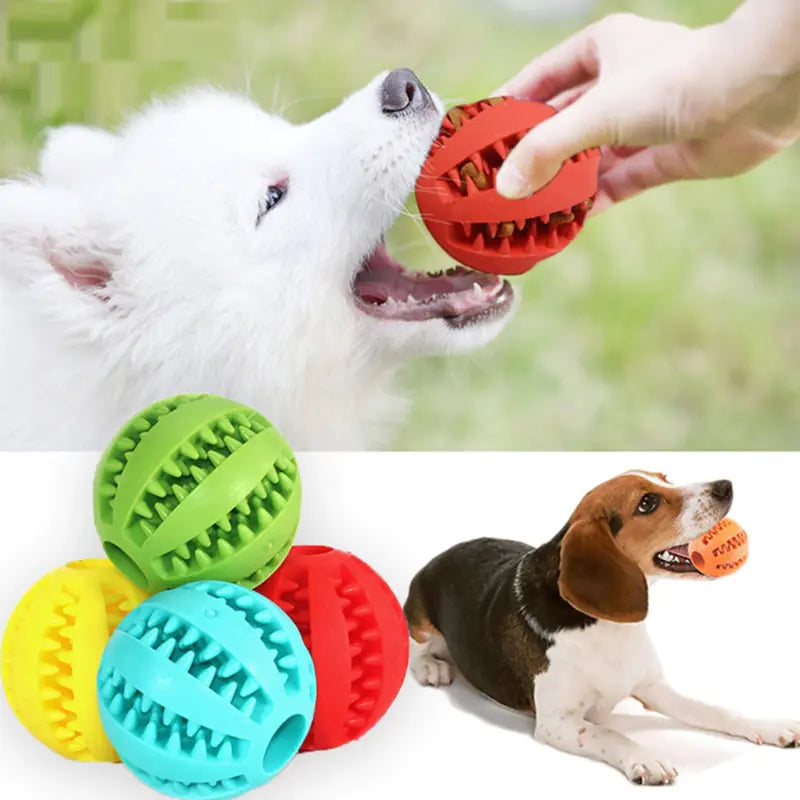 Interactive Rubber Fetch & Chew Toy