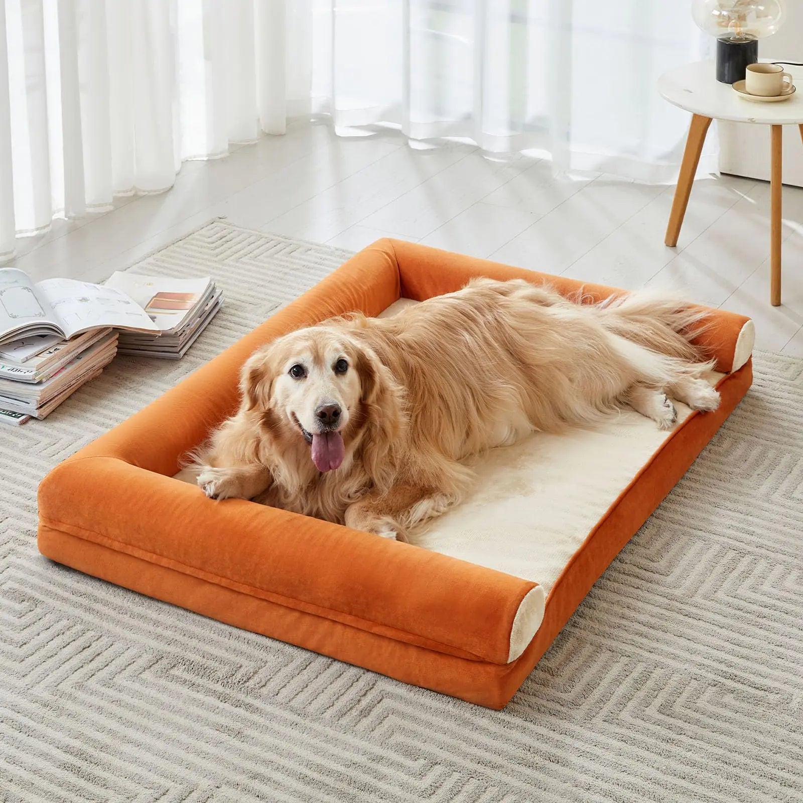 Premium Orthopedic Sofa Bed