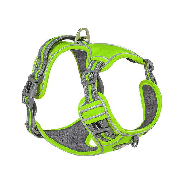 The Ideal Dog Harness