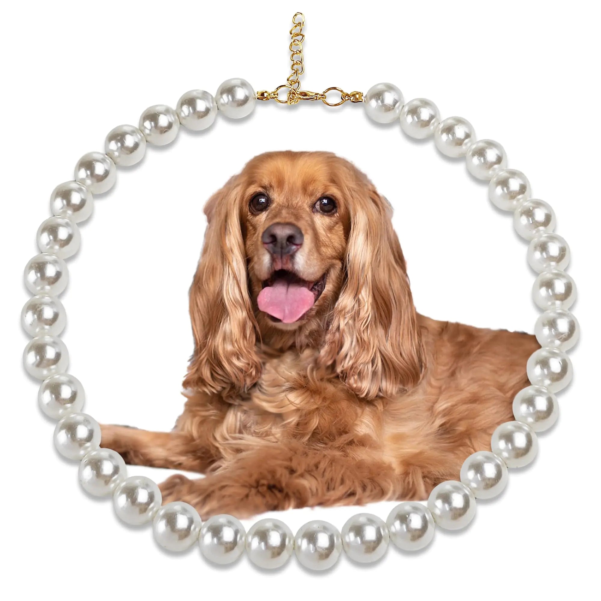 The Chunky Pearl Dog Necklace, LG