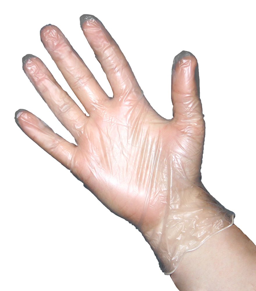 Gloves  Vinyl  Powder Free Non Latex  Large  Box of 100