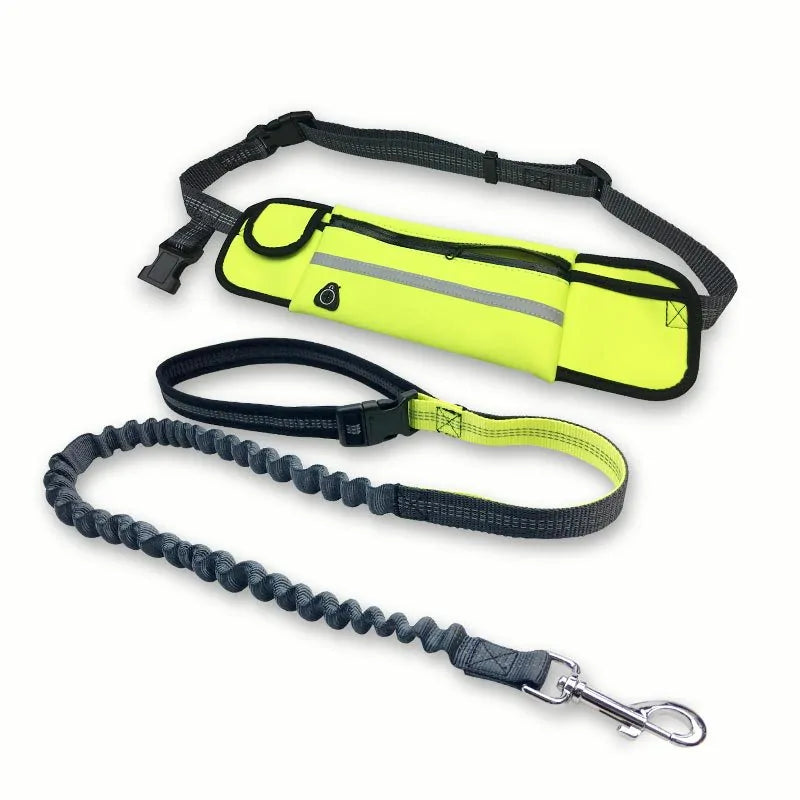 Hands-Free Shock Absorbing Bungee Dog Leash