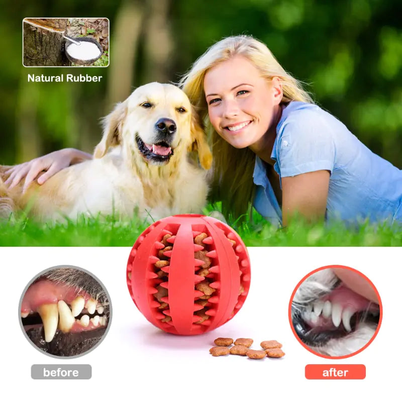 Interactive Rubber Fetch & Chew Toy