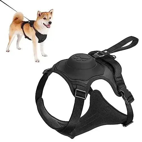 Practical Dog Harness and Retractable Leash Set