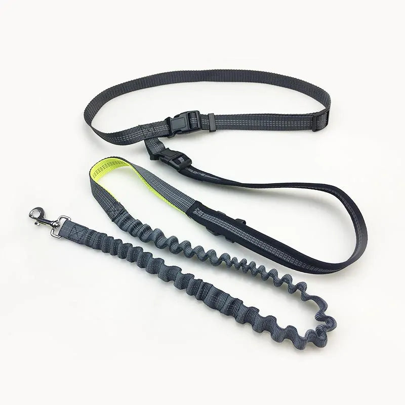 Hands-Free Shock Absorbing Bungee Dog Leash