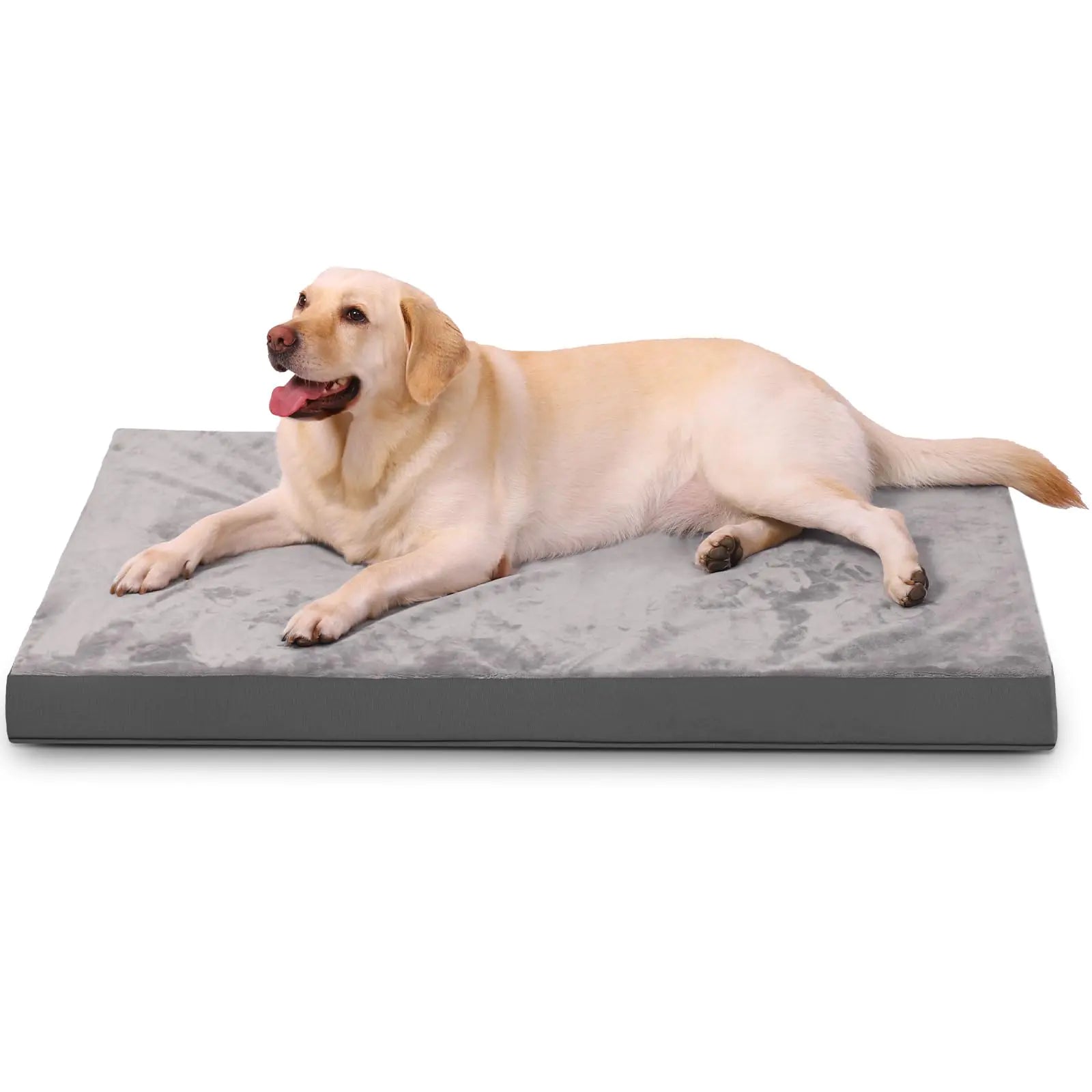 Reversible Orthopedic Dog Crate Bed
