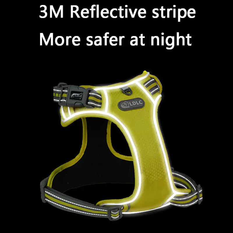 The Ideal Dog Harness