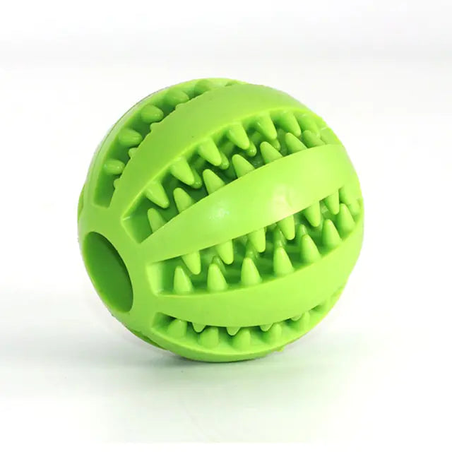 Interactive Rubber Fetch & Chew Toy