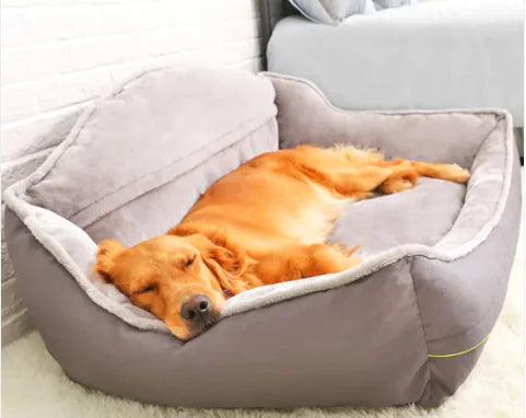 Super Comfy Sofa Dog Bed
