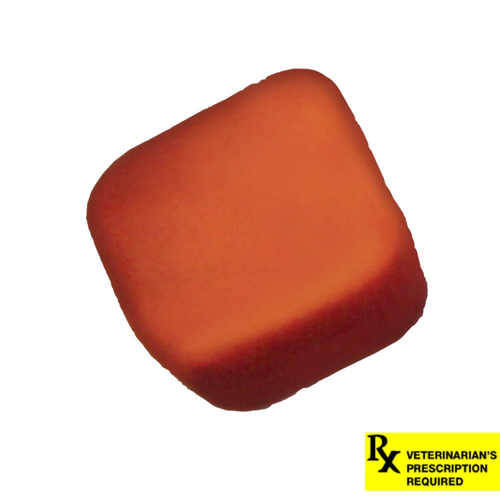 Rx NexGard Dog 10-24lbs x 1 tablet