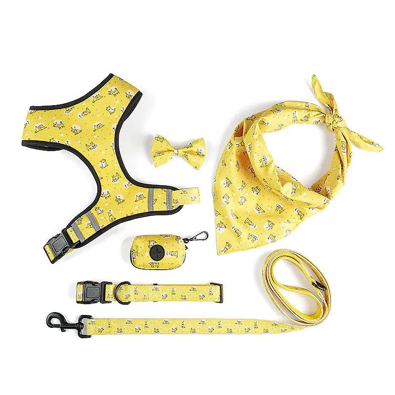 The Ultimate Leash, Harness, Scarf, and Bow Set