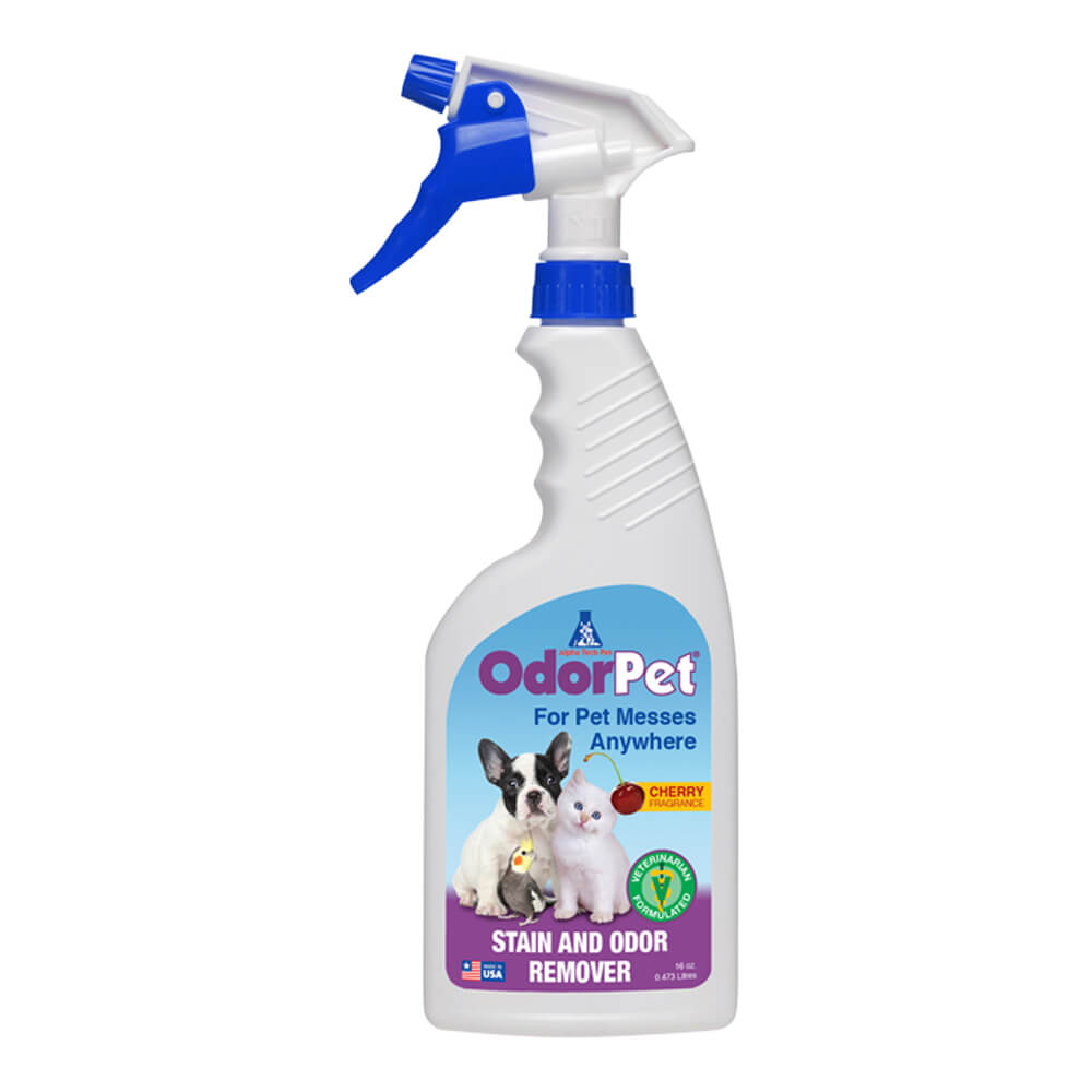 Stain And Odor Remover - 16 oz Ready to Use Spray - Black Cherry Scented Pet Odor Eliminator for Carpet, Floor and Furniture by Alpha Tech Pet