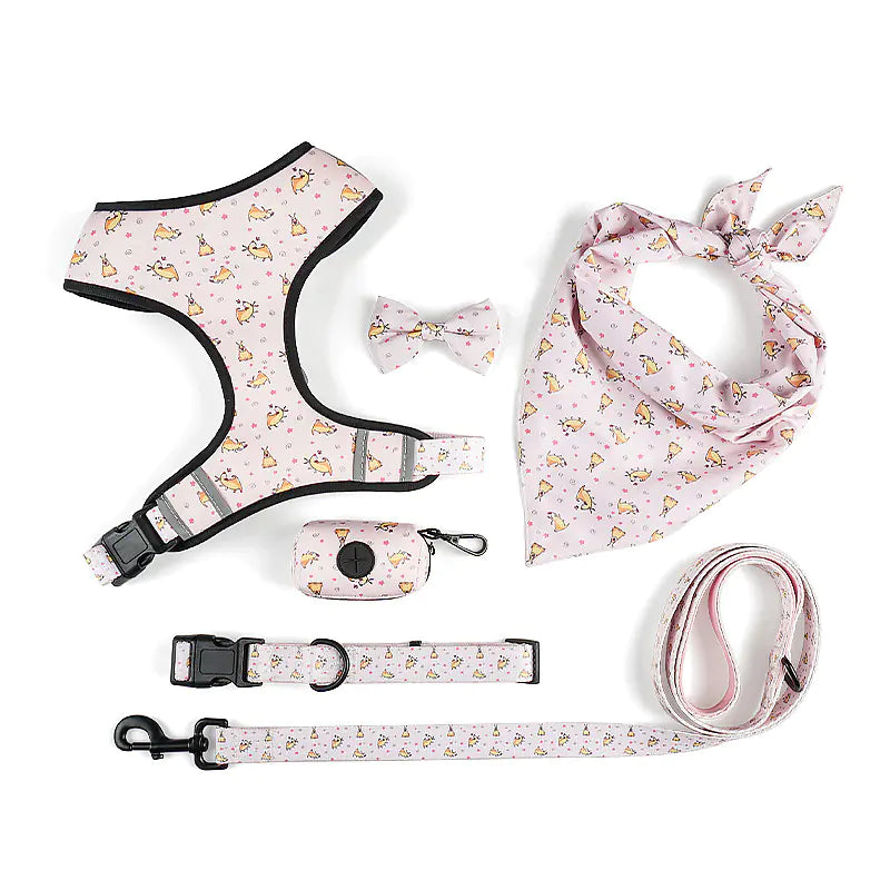 The Ultimate Leash, Harness, Scarf, and Bow Set