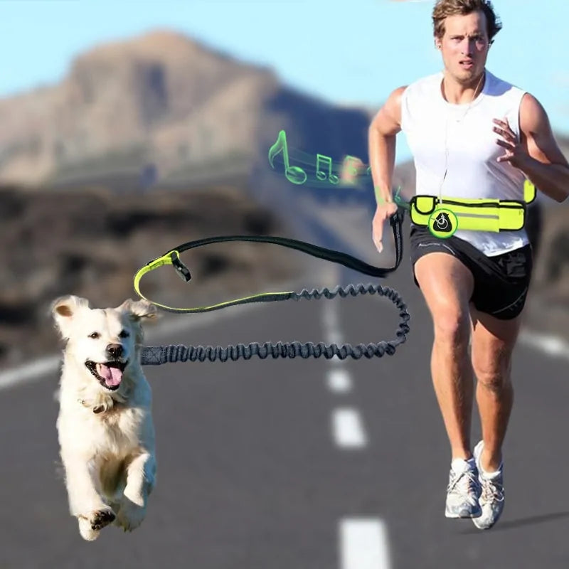Hands-Free Shock Absorbing Bungee Dog Leash