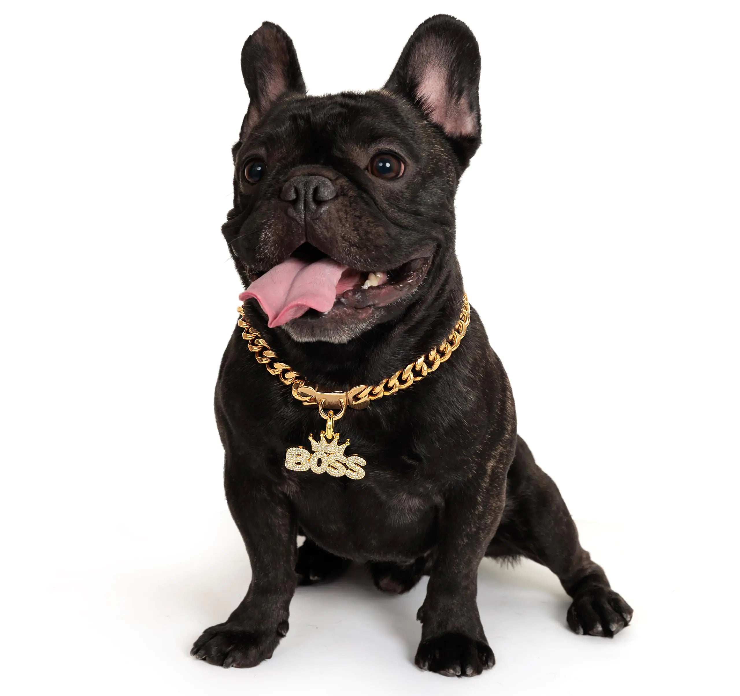 18K Cuban Link Dog Necklace Gold Metal Chain for MD/SM Dogs