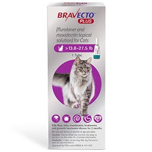 Rx Bravecto Plus Topical Cat 13.8-27.5lbs x 1 tube
