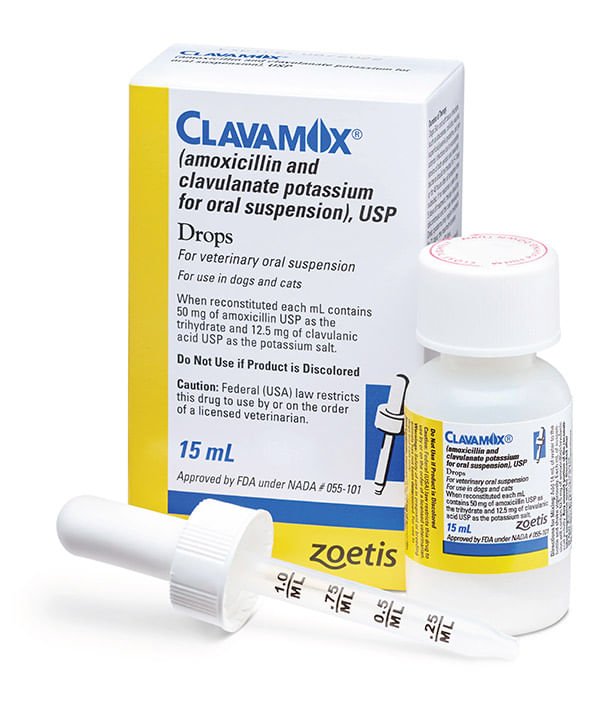 Rx Clavamox Drops 62.5 mg