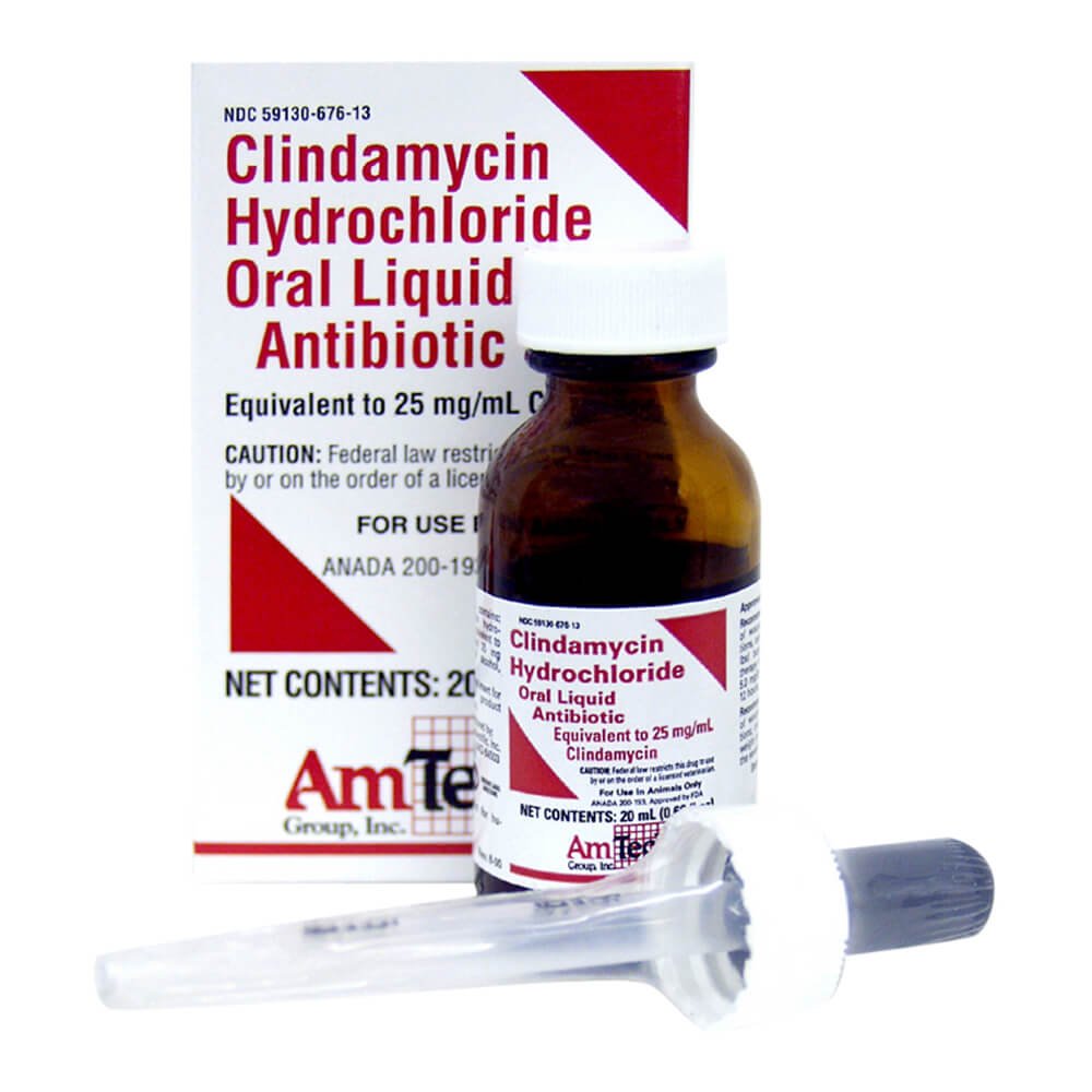 Rx Clindamycin 25mg/ml oral drops x 20 ml bottle