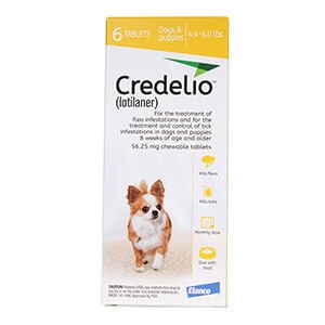 Rx Credelio 4.4-6 lbs (Yellow) x 6 tablet