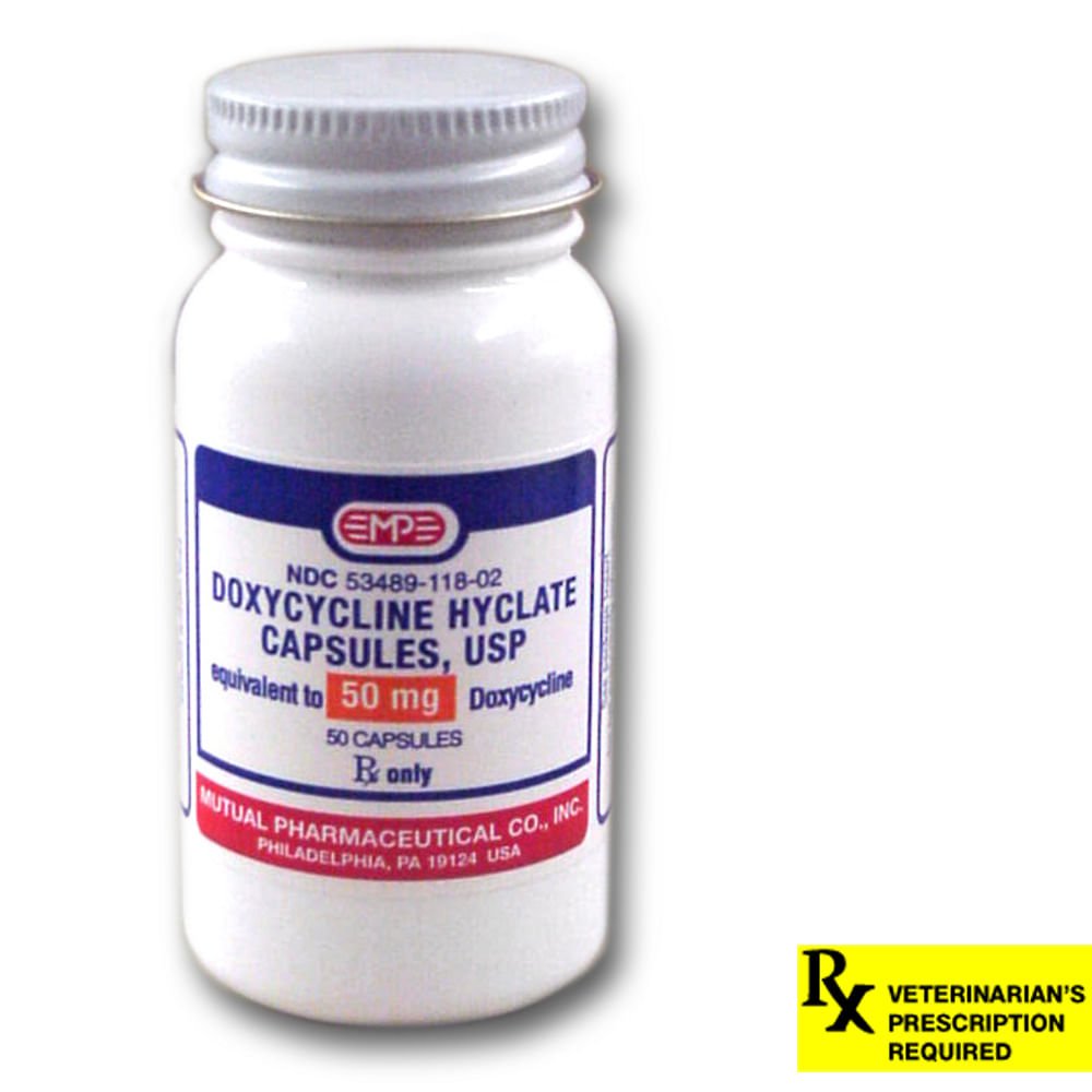Doxycycline Hyclate Rx  Capsules  50 mg x 50 ct