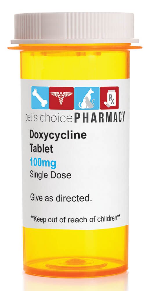 Doxycycline Rx  Tablet  100 mg x 1 ct