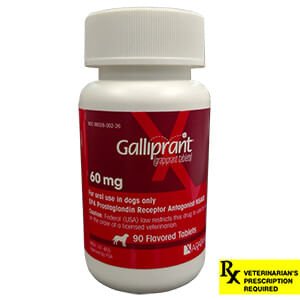 Rx Galliprant 60mg x 90 tablets