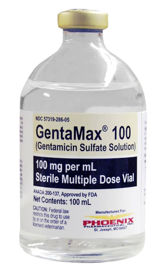 Rx Gentamax 100 mg/ml injection x 100ml bottle
