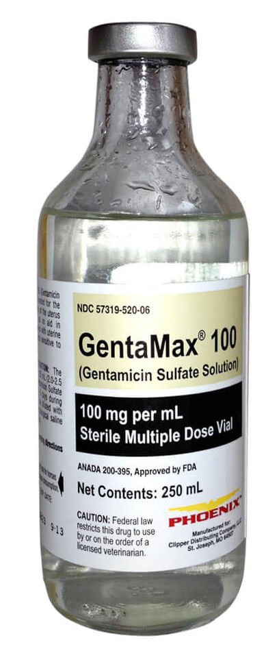 Rx Gentamax 100mg/ml injection x 250 ml bottle