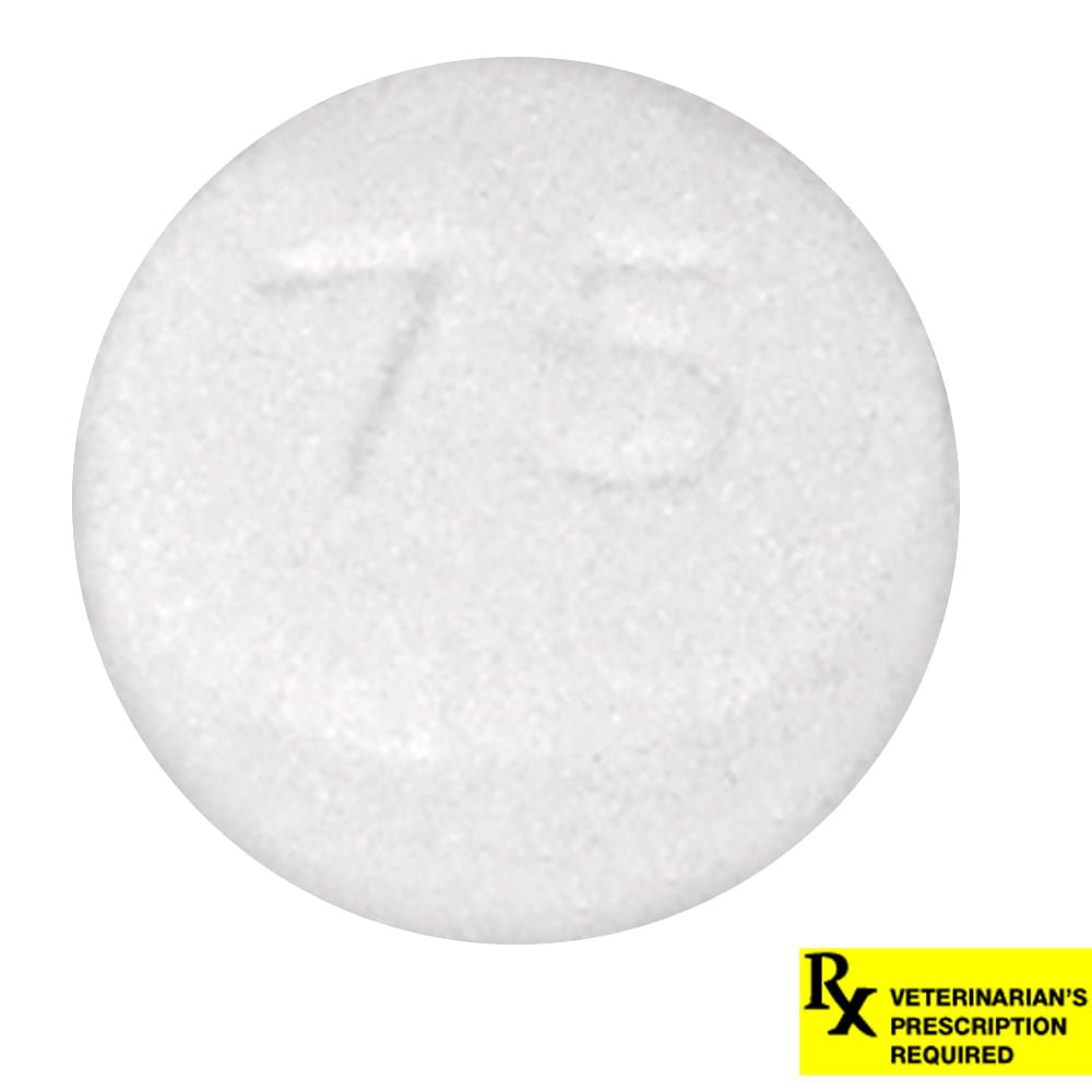 Rx Hydroxyzine 10mg x 1 tablet