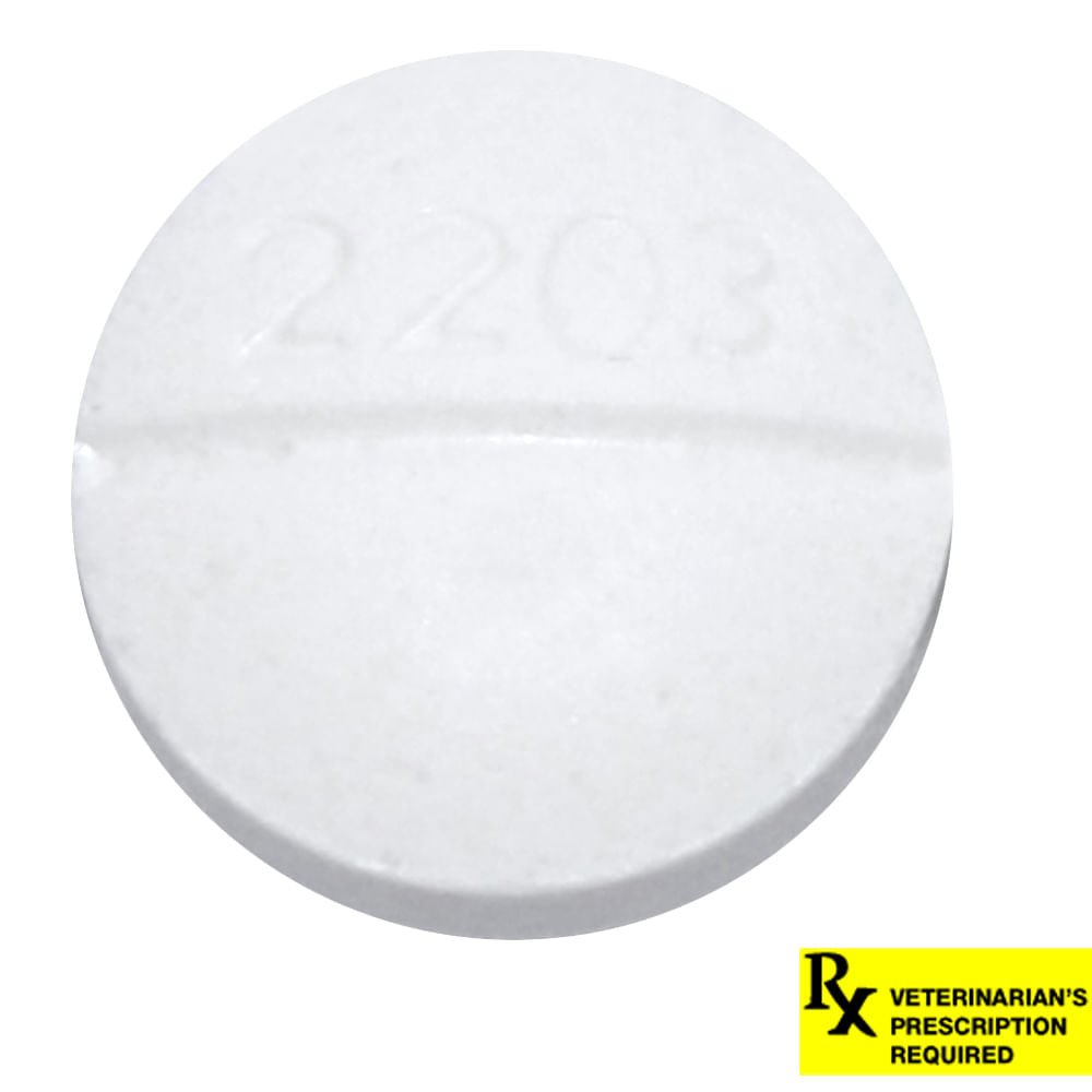 Rx Metoclopramide 10mg x 1 tablet