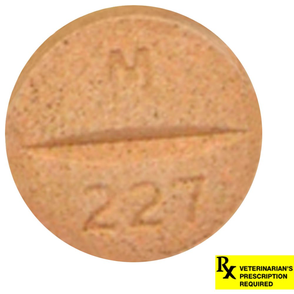 Rx Previcox 227mg x 1 tablet