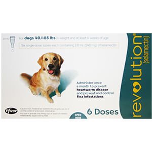 Rx Revolution canine 40.1-85lbs x 6 months