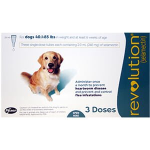 Rx Revolution canine 40.1-85lbs x 3 months