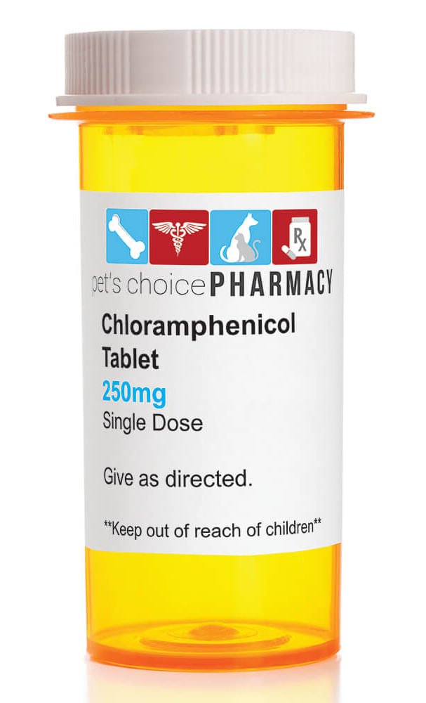 Rx Viceton (Chloramphenicol) 250mg x 1 tablet