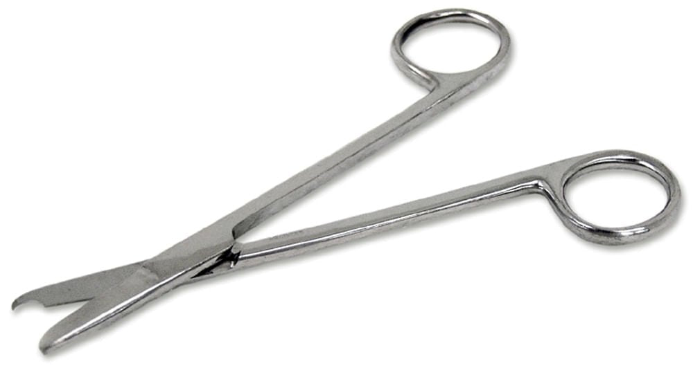 Scissors  5.5 Straight