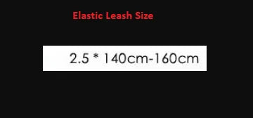 Hands-Free Shock Absorbing Bungee Dog Leash
