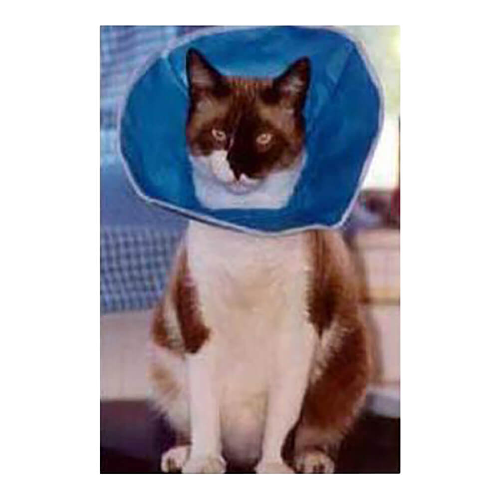 Vet Recovery Collar  5 1/2'' (14 cm)