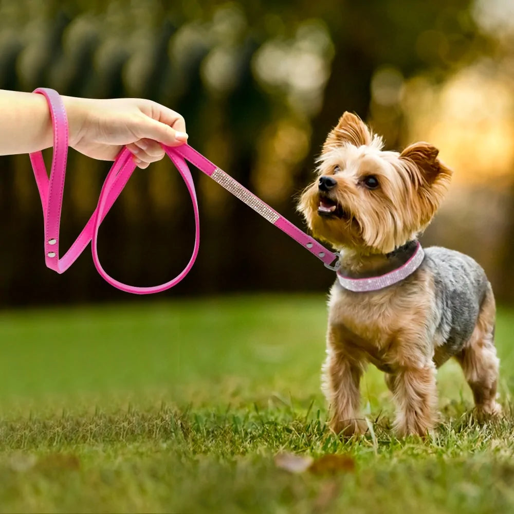 Bling Leather Dog Collar Leash Set