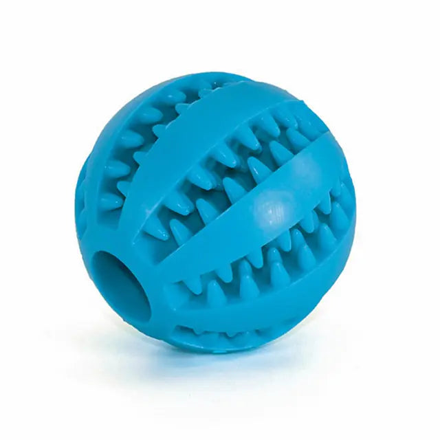 Interactive Rubber Fetch & Chew Toy
