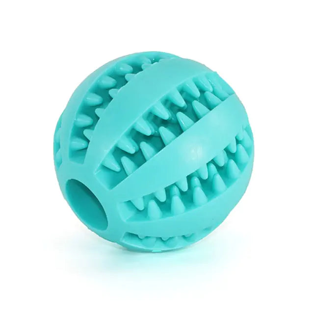 Interactive Rubber Fetch & Chew Toy