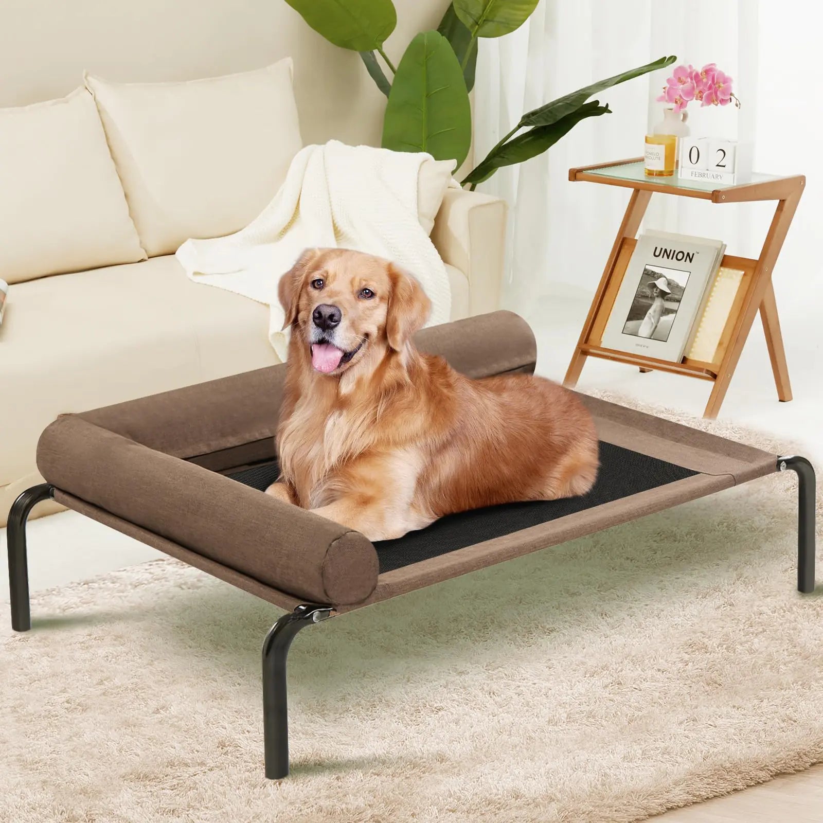 Elevated Dog Cooling Cots Beds W/Bolster