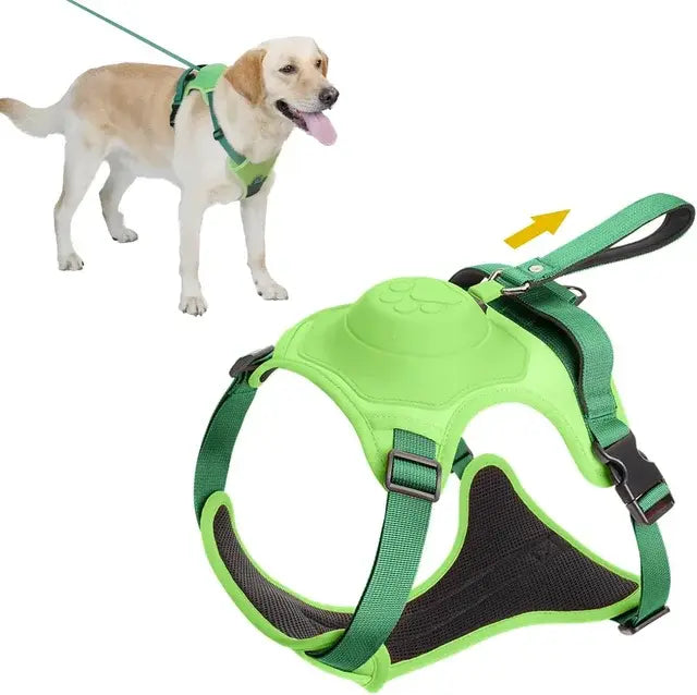 Practical Dog Harness and Retractable Leash Set